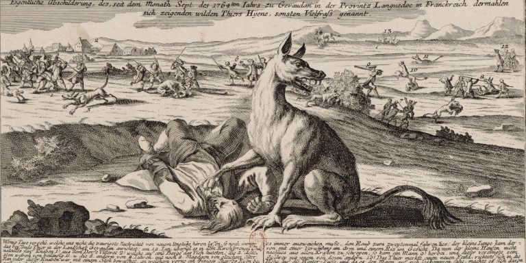 12 Facts About The Beast Of Gévaudan, The Wolflike Creature Who Terrorized France