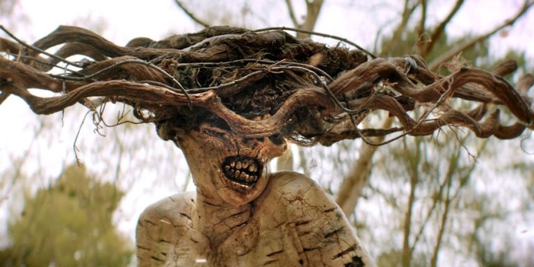 10 Reasons Why Horror Addicts Should Not Miss An Episode Of ‘The Birch’