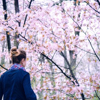 You're Not Going To Realize You're Blossoming, But It's Going To Happen Anyway