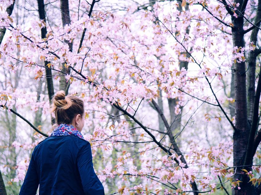 You’re Not Going To Realize You’re Blossoming, But It’s Going To Happen Anyway