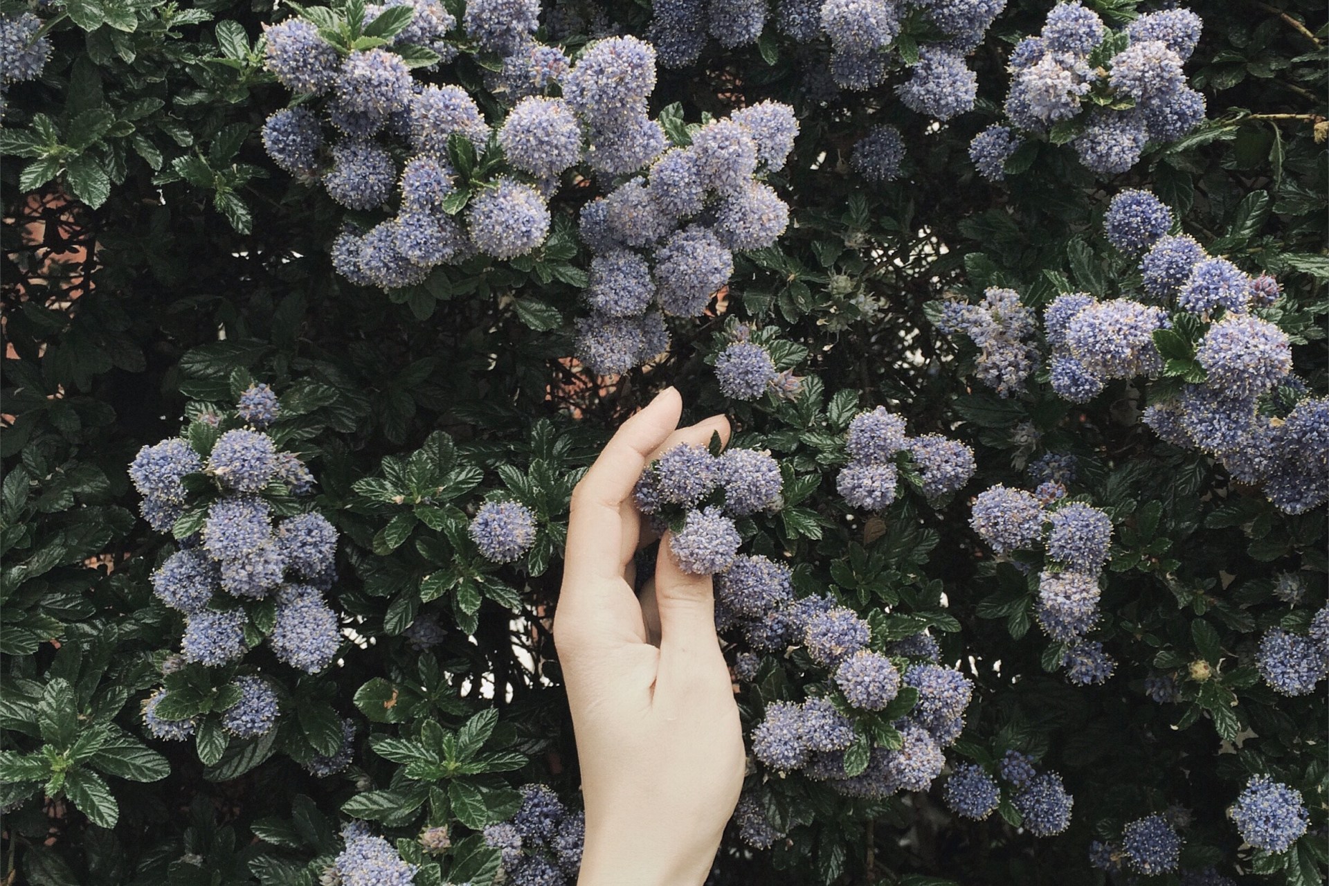 That Thing You Heard About Love Having To Hurt Sometimes