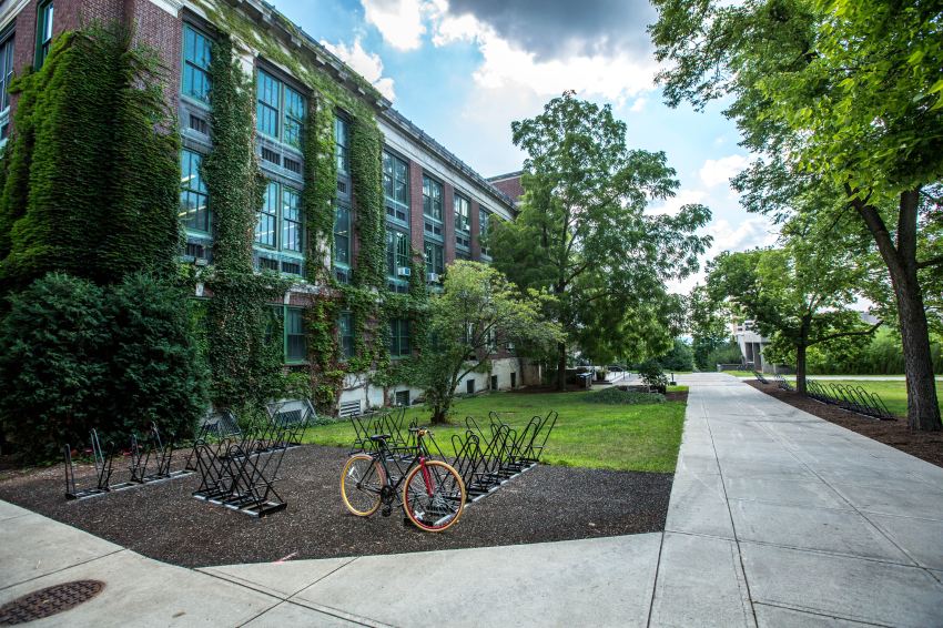 7 Practical Ways To Be More Eco-Friendly As A College Student