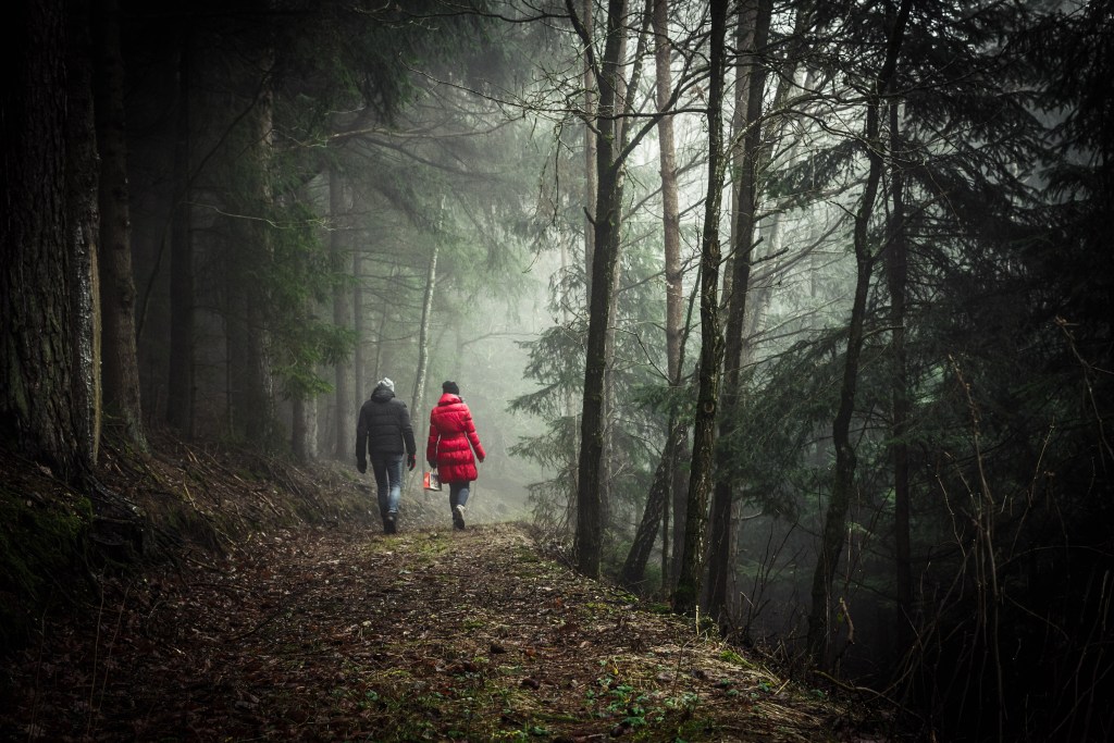 30 Hikers On The Single Scariest Thing They’ve Seen Deep In The Woods ...
