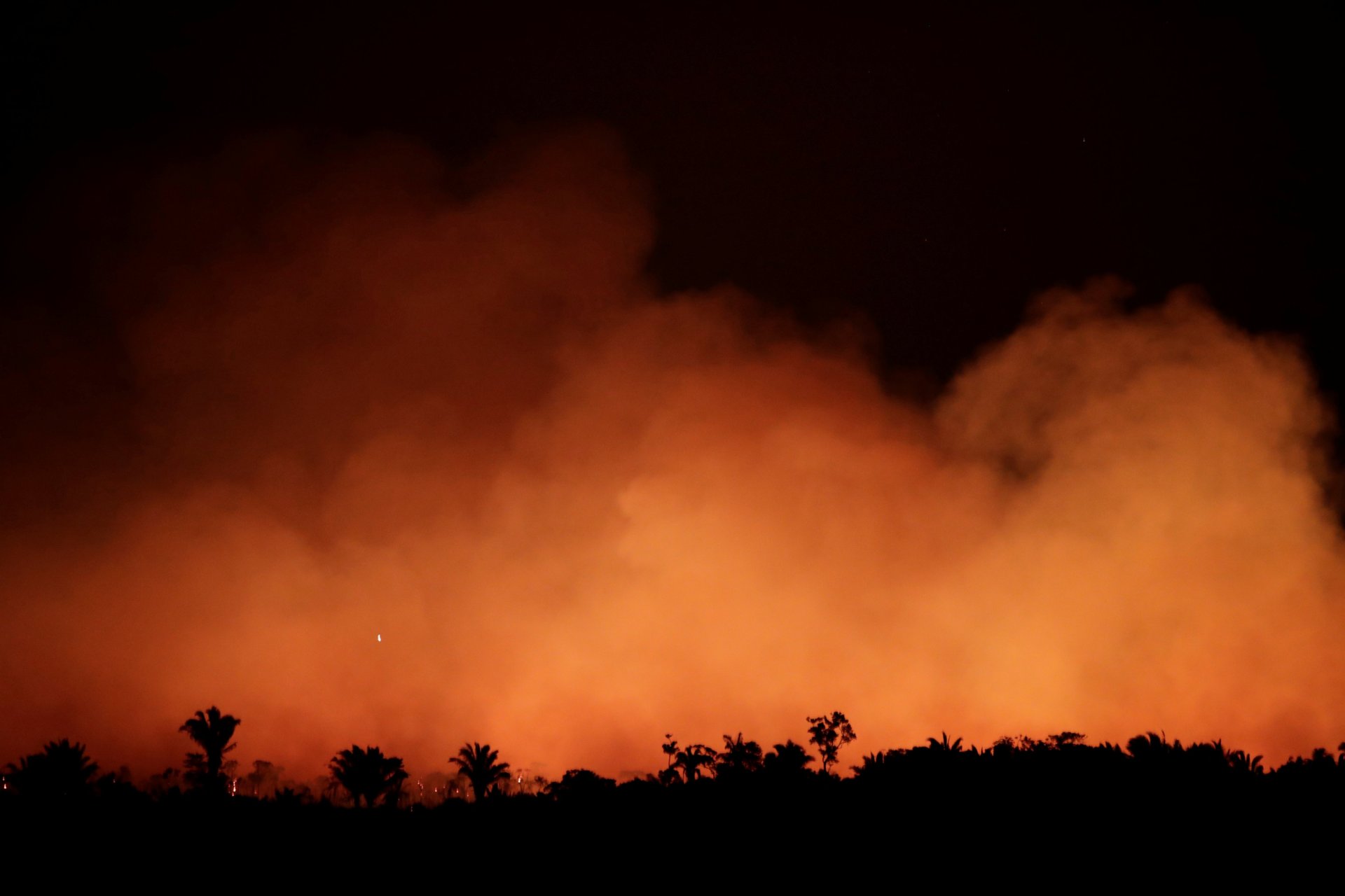 The Amazon Is Burning, Here’s How You Can Help
