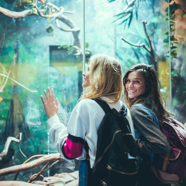 Why You Appreciate Your Best Friend, Based On Her Zodiac Sign 
