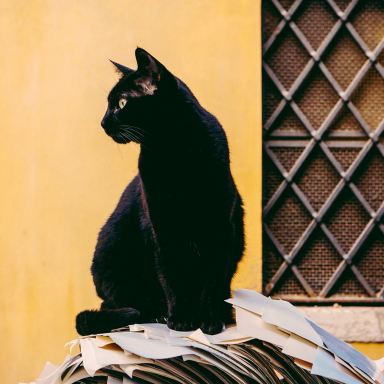 30 Creepy Superstitions You Don’t Even Realize You’ve Been Practicing 