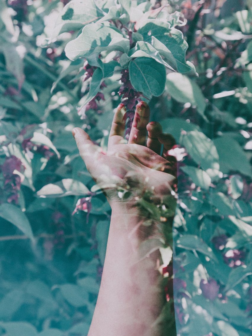 Here’s What The Last Full Moon Of 2019 Will Bring For Each Zodiac Sign