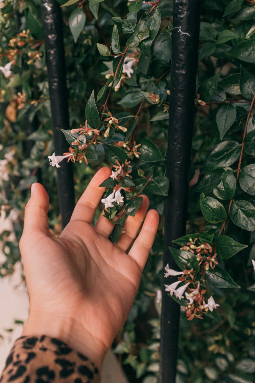 What Each Sign Can Expect From 2020’s Juno Retrograde