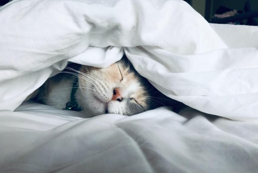 10+ Ways To Slightly Improve Your Life Under Quarantine