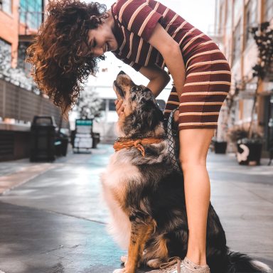 9 Ways An Emotional Support Dog Changed My Life