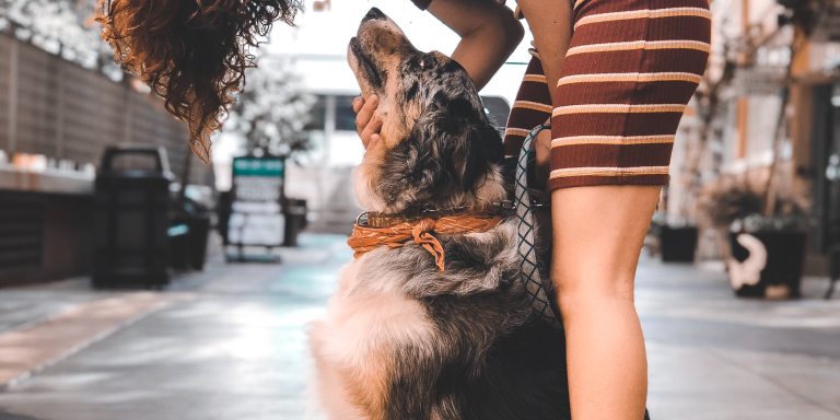 9 Ways An Emotional Support Dog Changed My Life