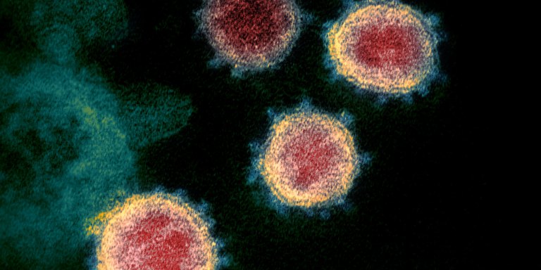 The Coronavirus — What’s Up With That? Tips, Analysis, And Facts To Keep You Informed