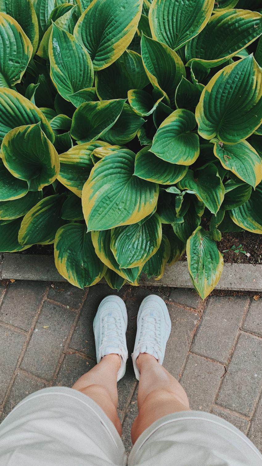 Each Zodiac Sign’s Comprehensive Horoscope For August
