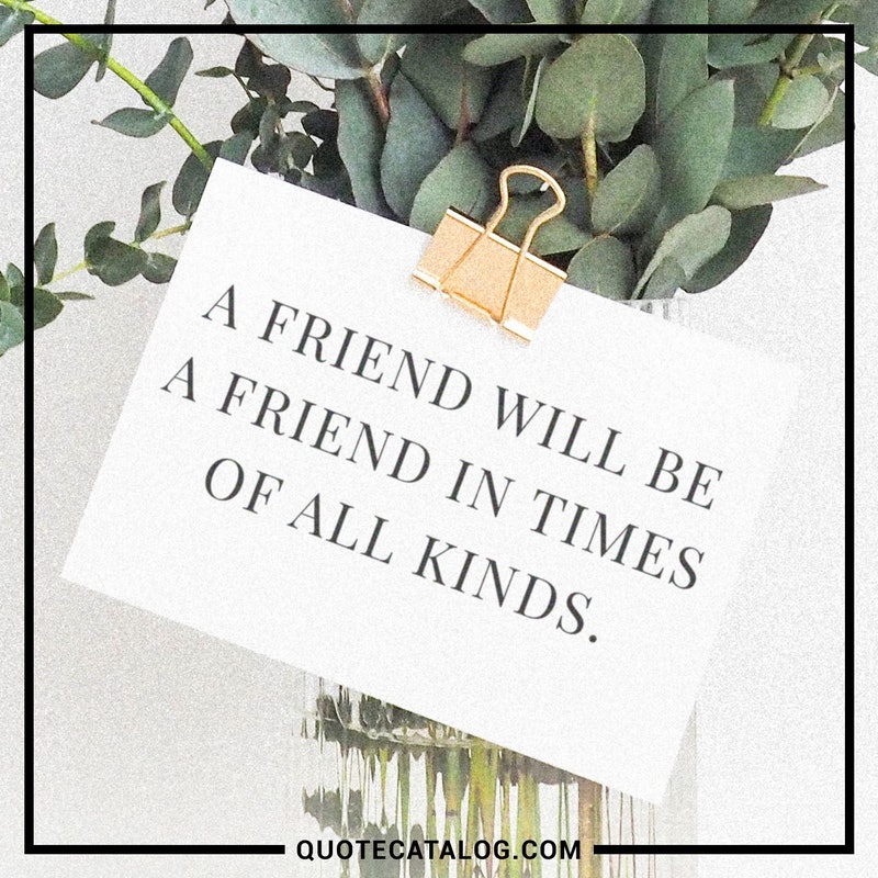 80+ Best Inspirational Quotes on Friendship Thought Catalog