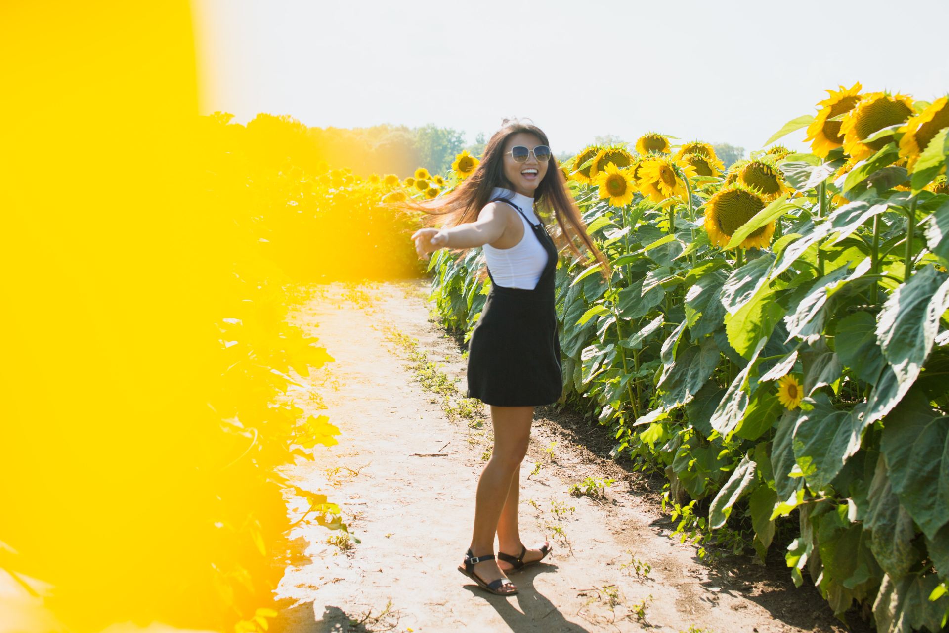 woman standing in sunflower field