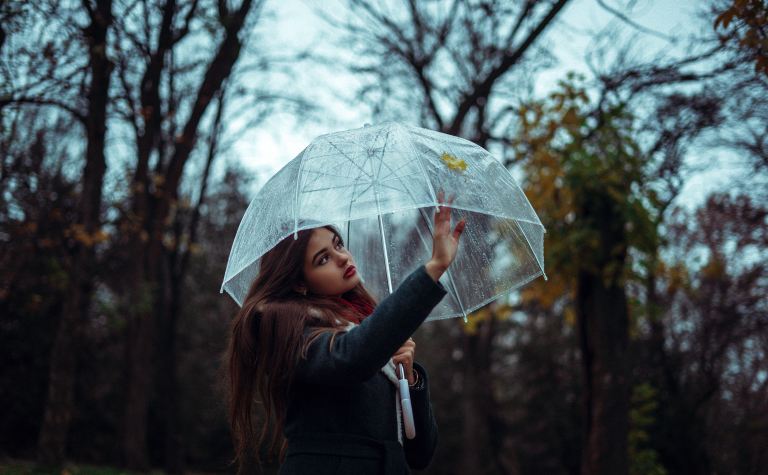 woman holding clear umbrella while standing near trees at daytime