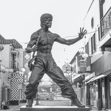 50+ Greatest Bruce Lee Quotes About Winning