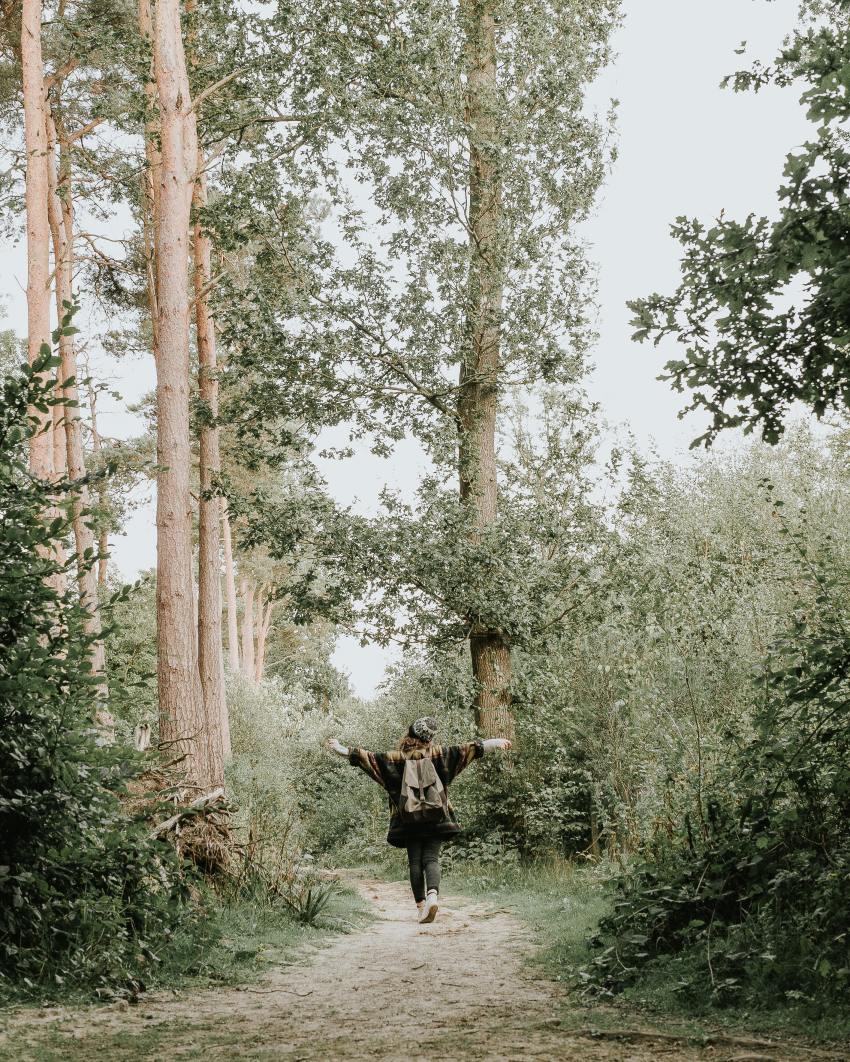 This Is What Each Zodiac Sign Can Expect From 2020’s Venus In Leo