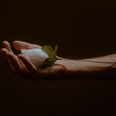 person holding white and green frog figurine