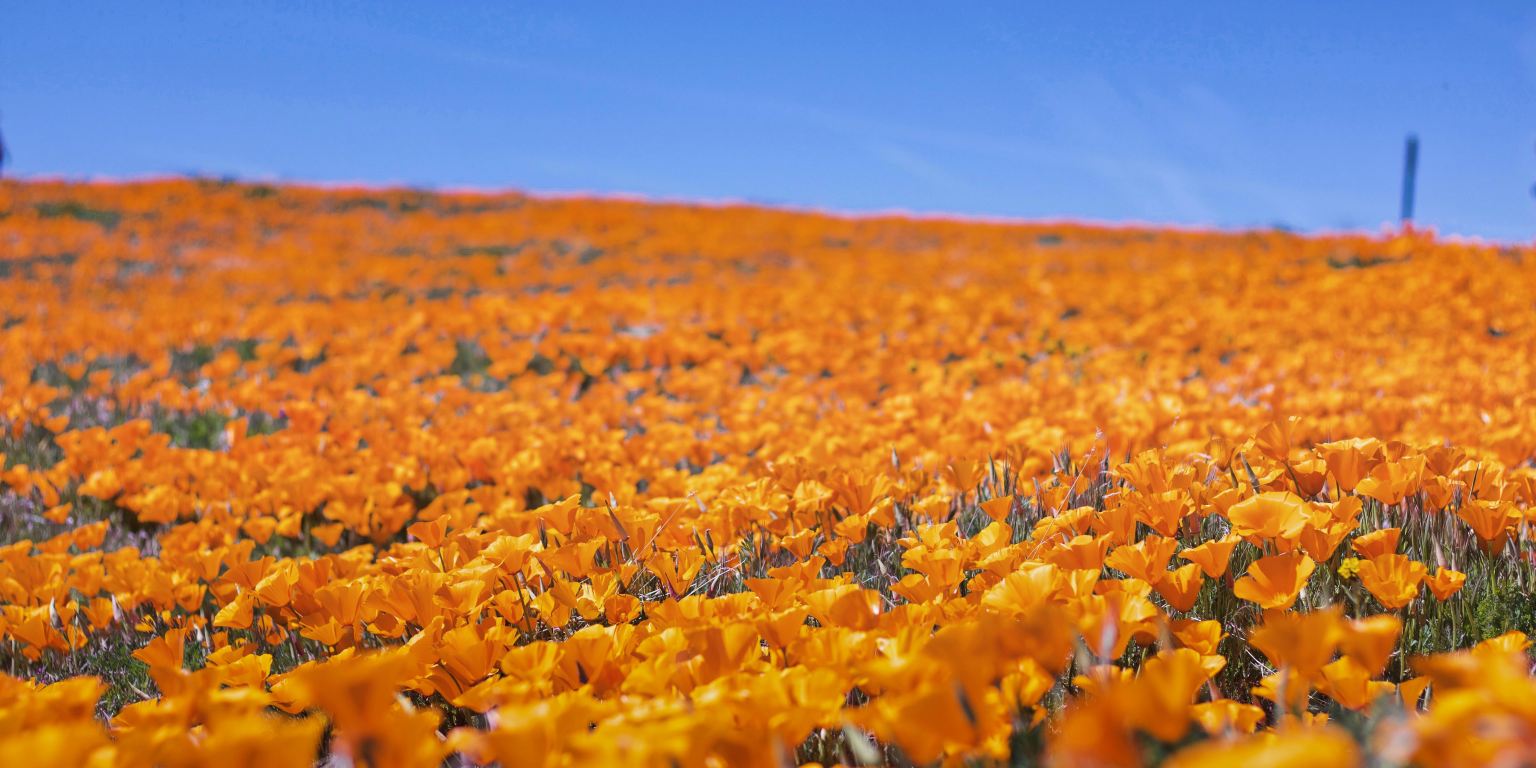 23 Important Life Lessons, As Told By A 23YearOld Thought Catalog