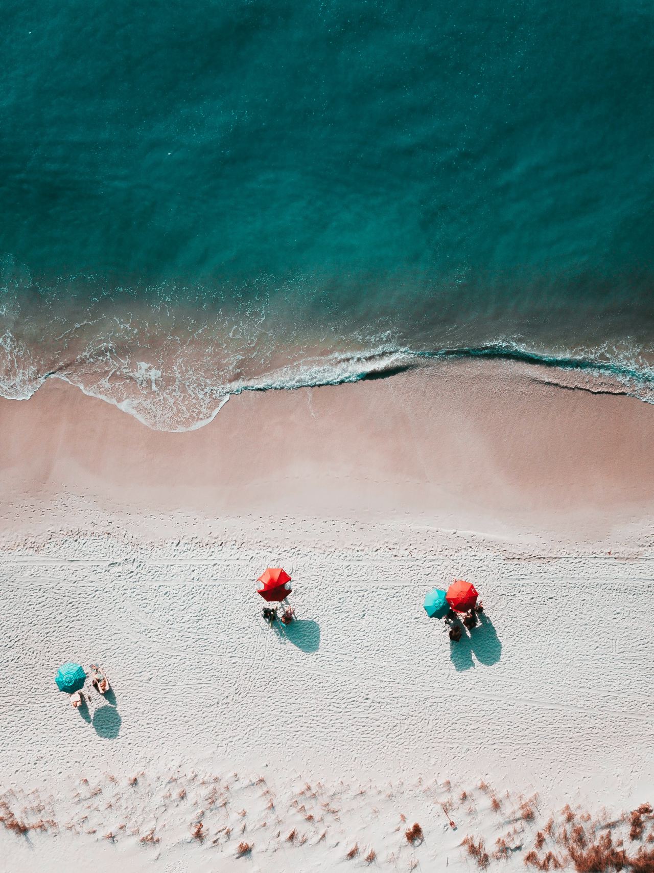 birds eye photography of seashore