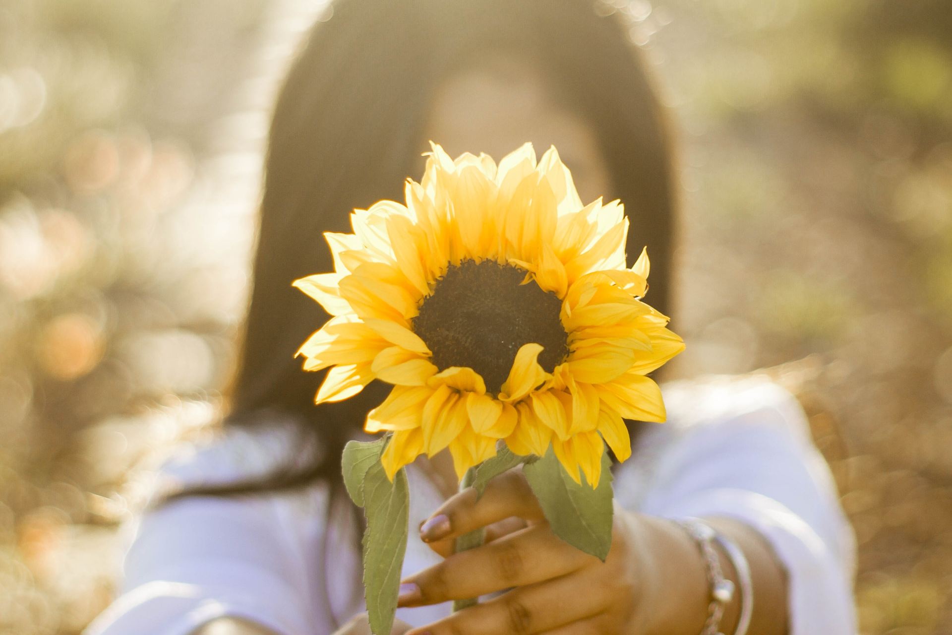 woman holding up sunflower outdoor during daytime