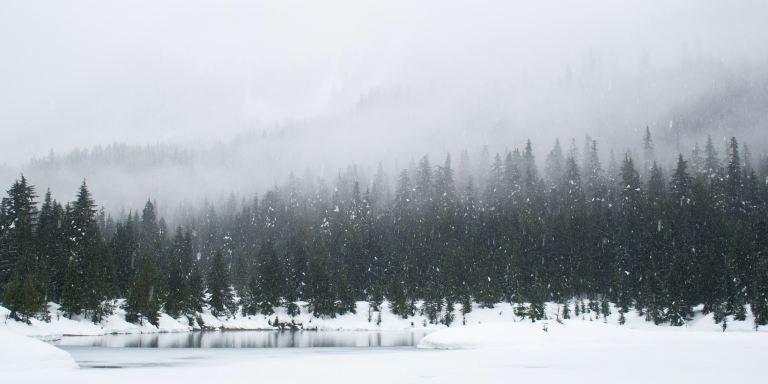 5 Ways To Embrace The Winter Solstice While Isolating At Home