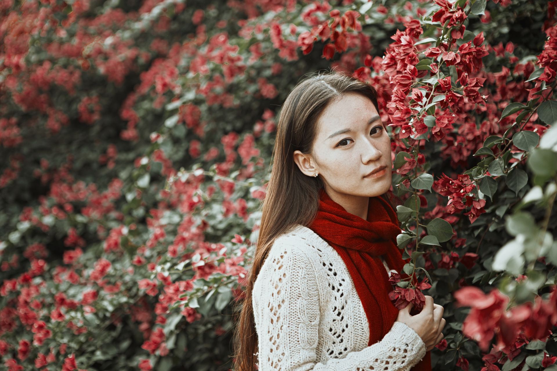 woman in white knit sweater and red scarf standing beside red flowers