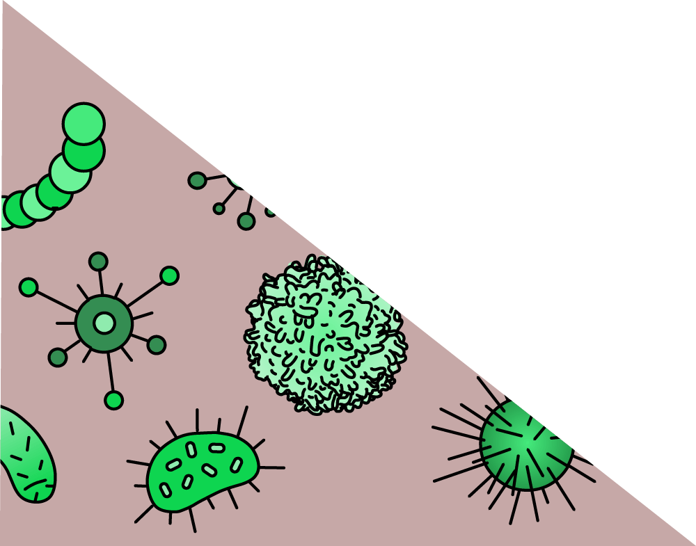 Environmental Factors