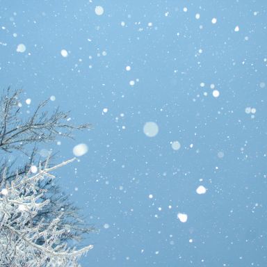 What Winter Can Teach Us About Healing