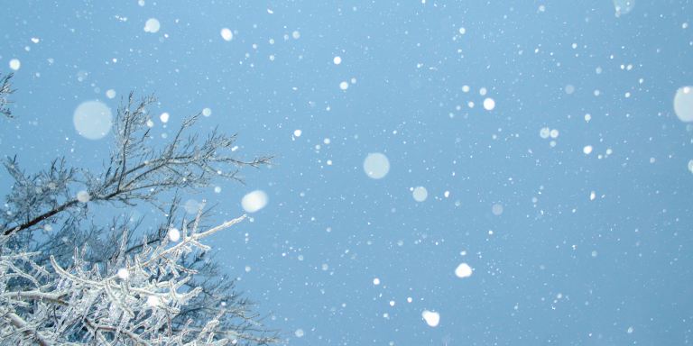 What Winter Can Teach Us About Healing