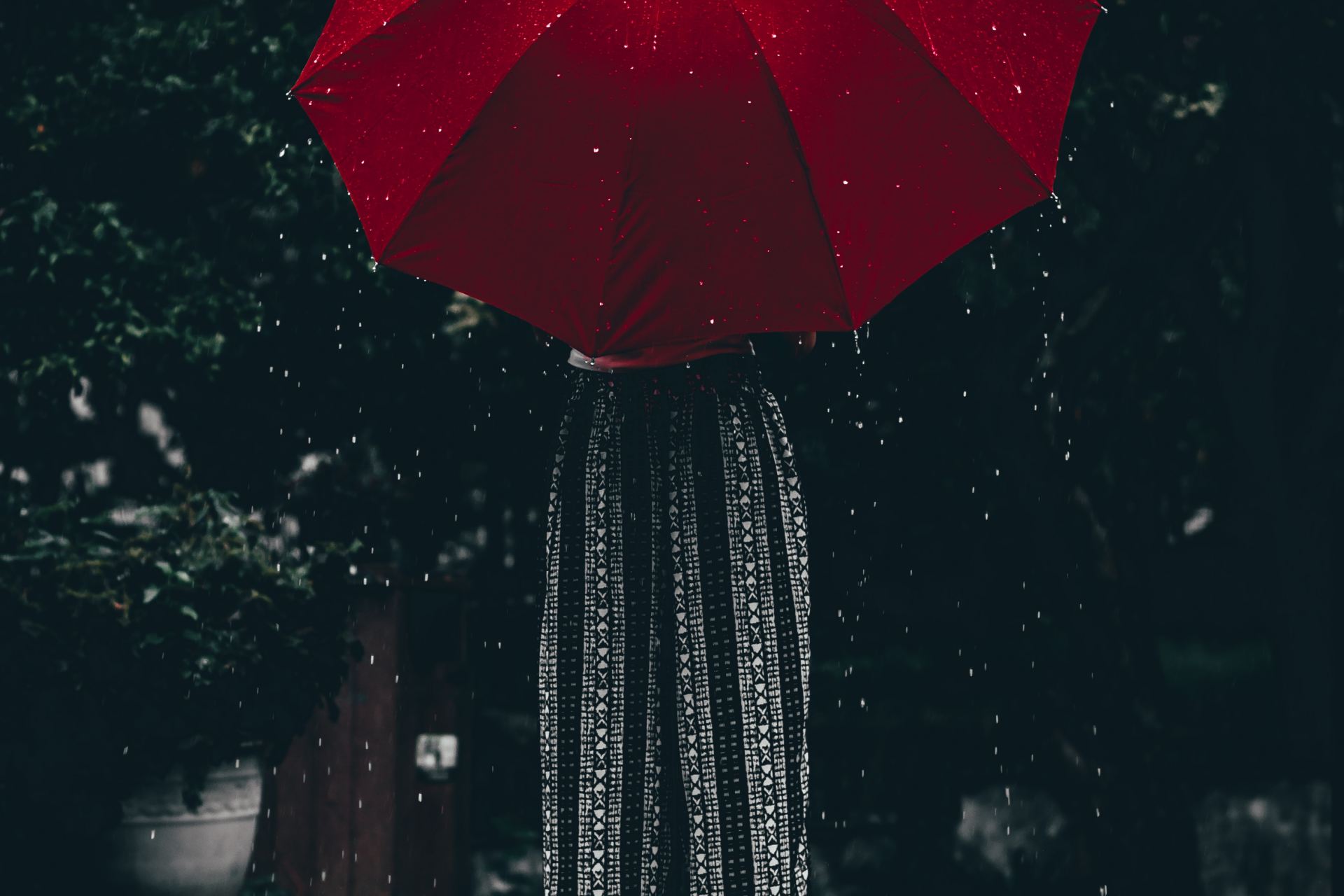 woman holding red umbrella standing near tree at daytime
