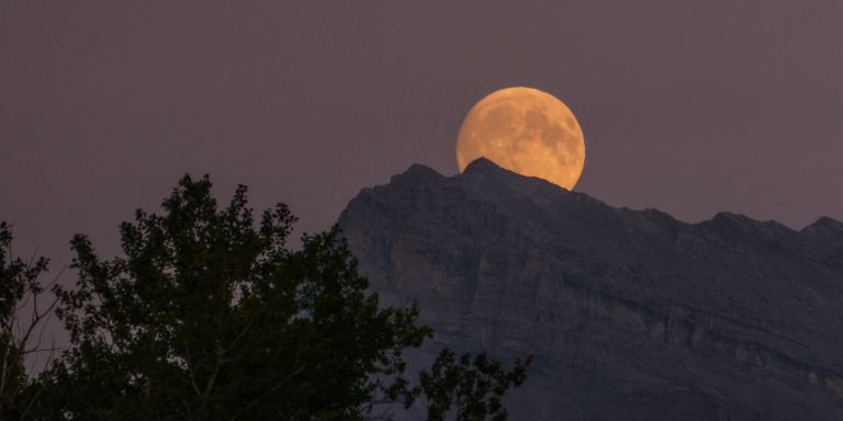 Here’s What Each Zodiac Sign Can Expect From The Full Moon In Leo