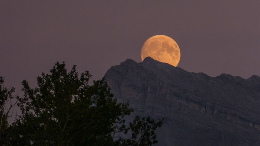 Here’s What Each Zodiac Sign Can Expect From The Full Moon In Leo