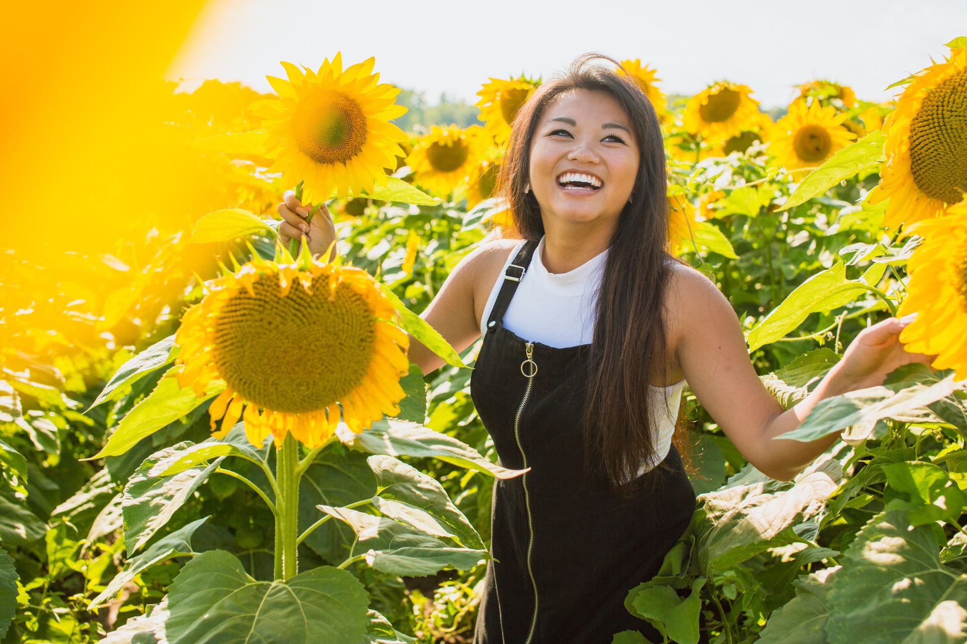 woman surrounded with sunflowers at daytime