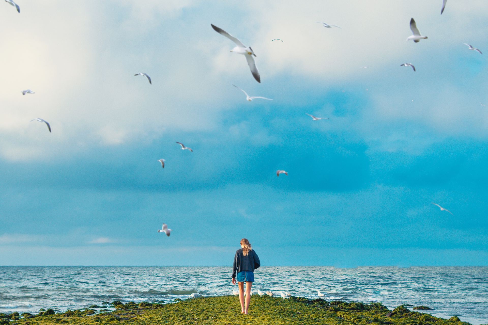 woman standing on cliff with birds flying under sea