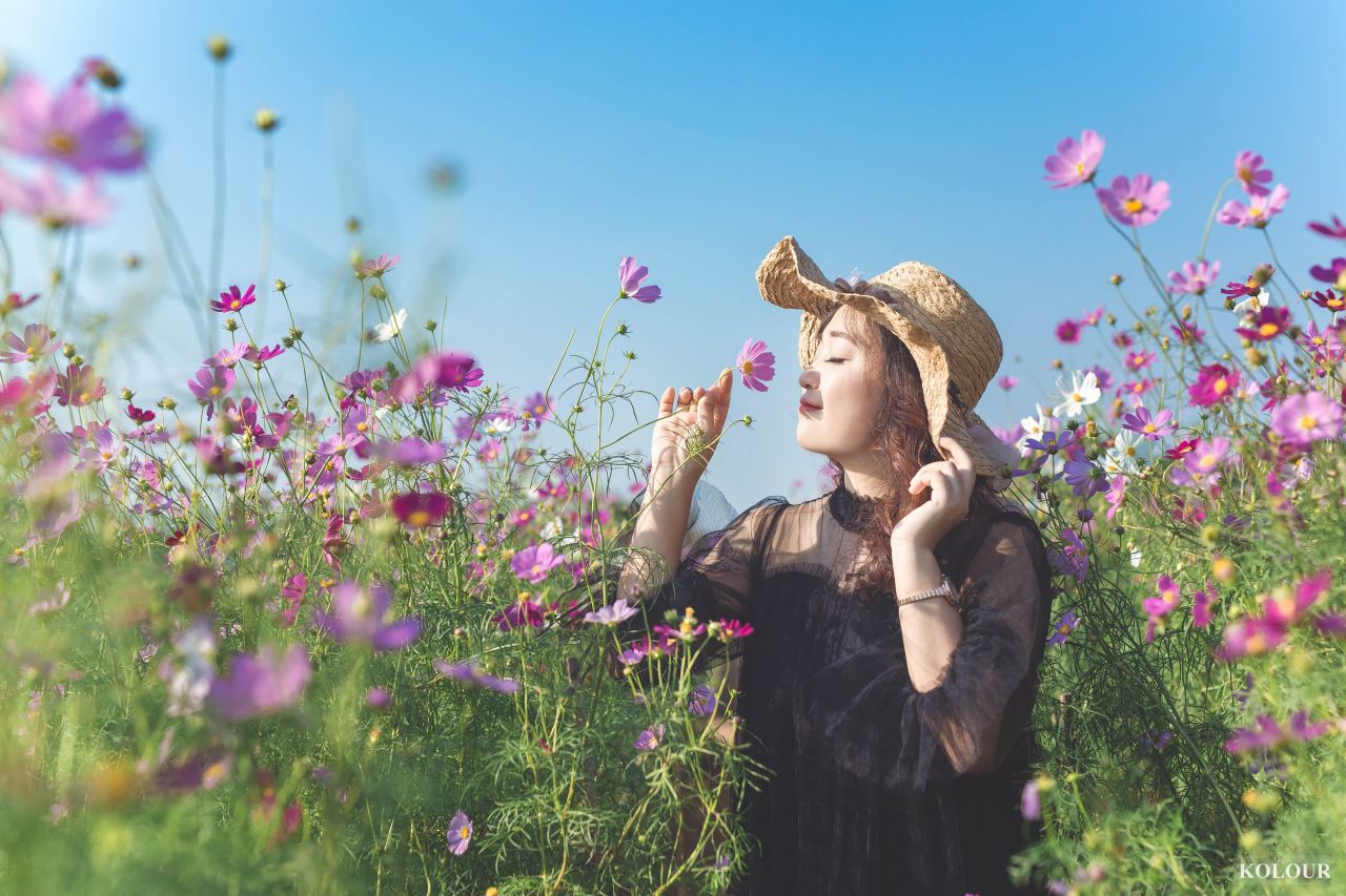 woman in black dress standing on flower field during daytime