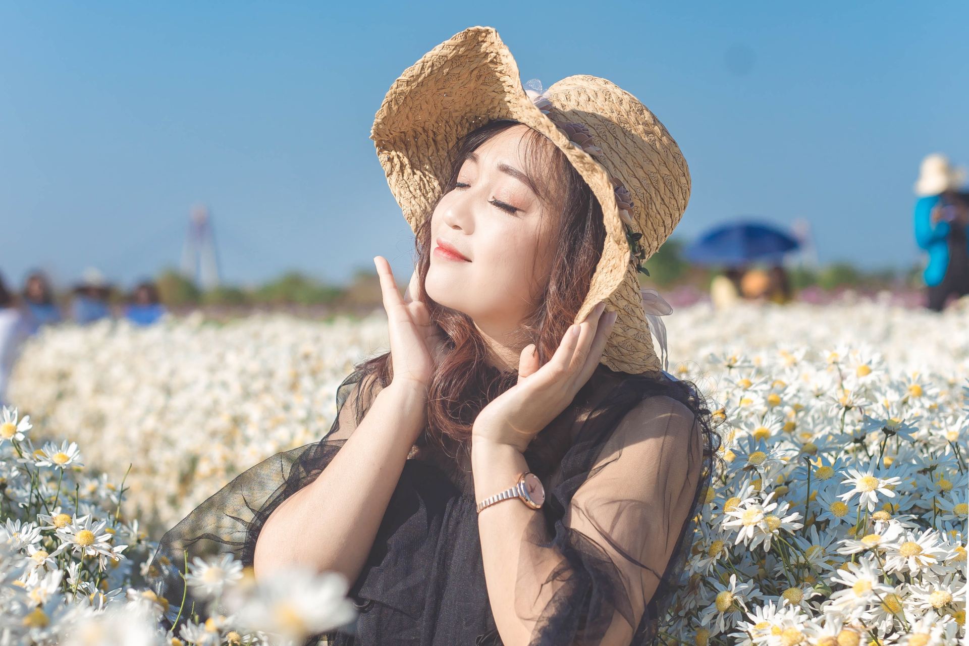 woman in brown sun hat sitting on white flower field during daytime