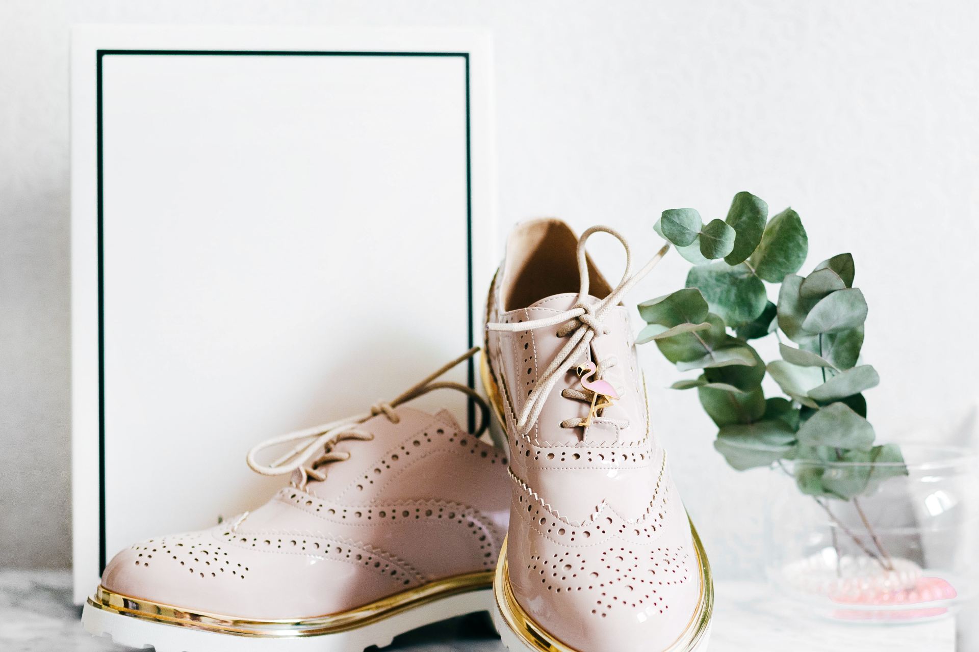 pair of shoes and white box near plant
