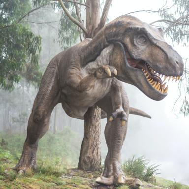 70 Fun, Mind-Blowing Dinosaur Trivia Questions 
