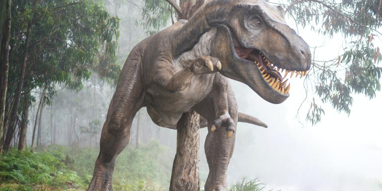 70 Fun, Mind-Blowing Dinosaur Trivia Questions 