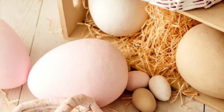 90+ Easter Trivia Questions About The Holiday