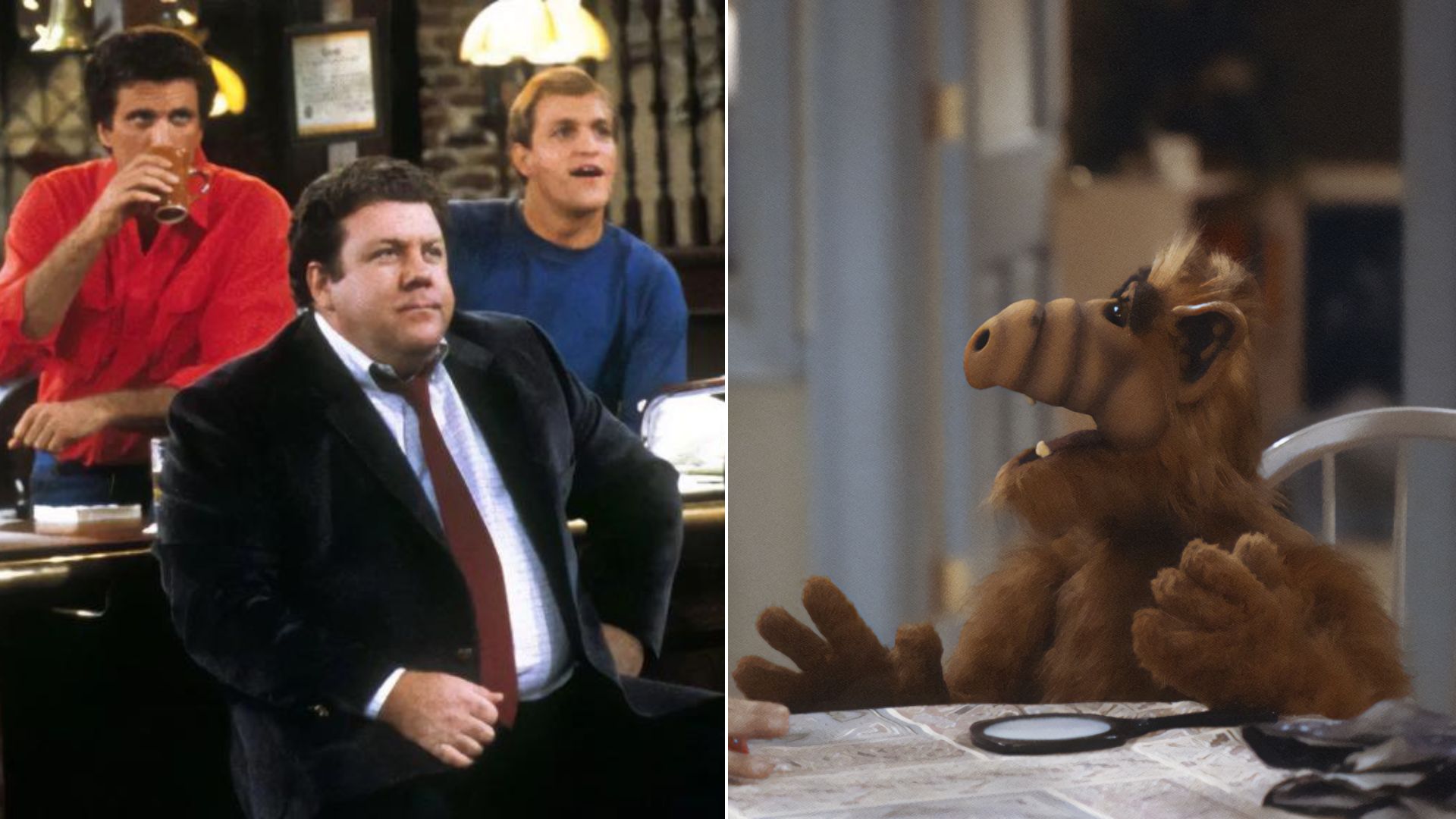 The 7 Best Sitcoms From The 1980s — And Where To Stream Them | Thought ...