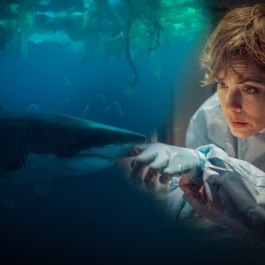 Why Netflix’s ‘Under Paris’ Is The Best Shark Movie Since ‘Jaws’