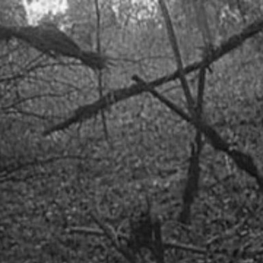 25 Years Later, Here Are 5 Things ‘The Blair Witch Project’ Taught Us NOT To Do