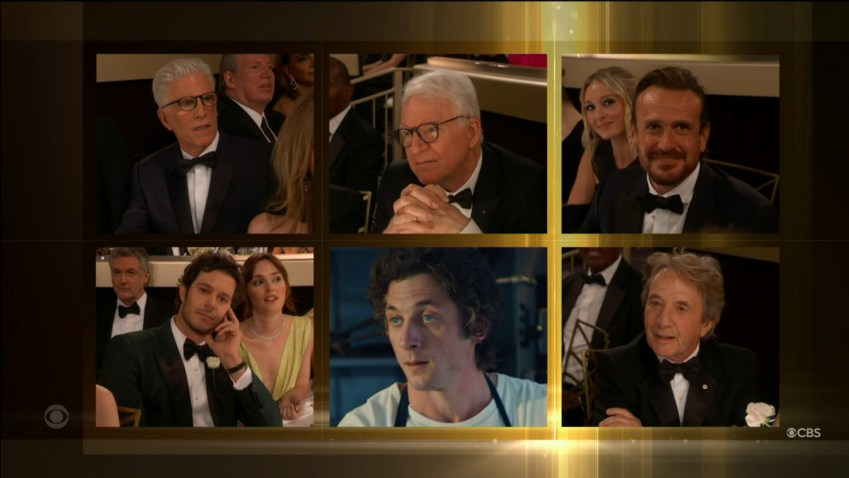 The nominees for Best Male Actor in a Comedy or Musical Television Series at the 82nd Golden Globe Awards.