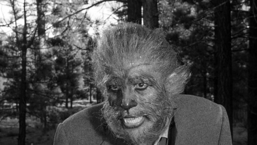 The Werewolf (1956)