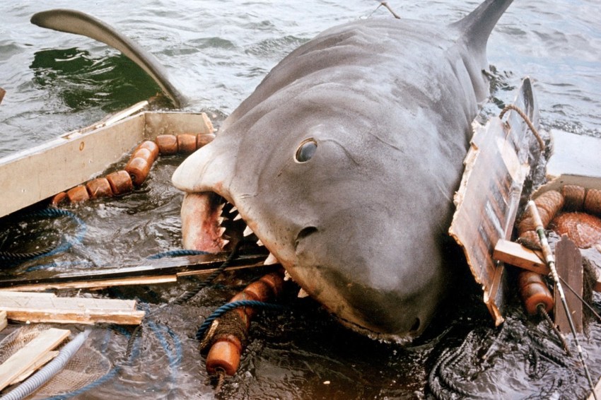 20 Best Quotes To Celebrate 50 Years Of ‘Jaws’