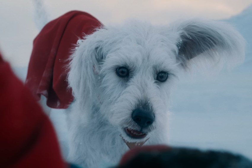 Krypto The Superdog Is Speeding Into Stores