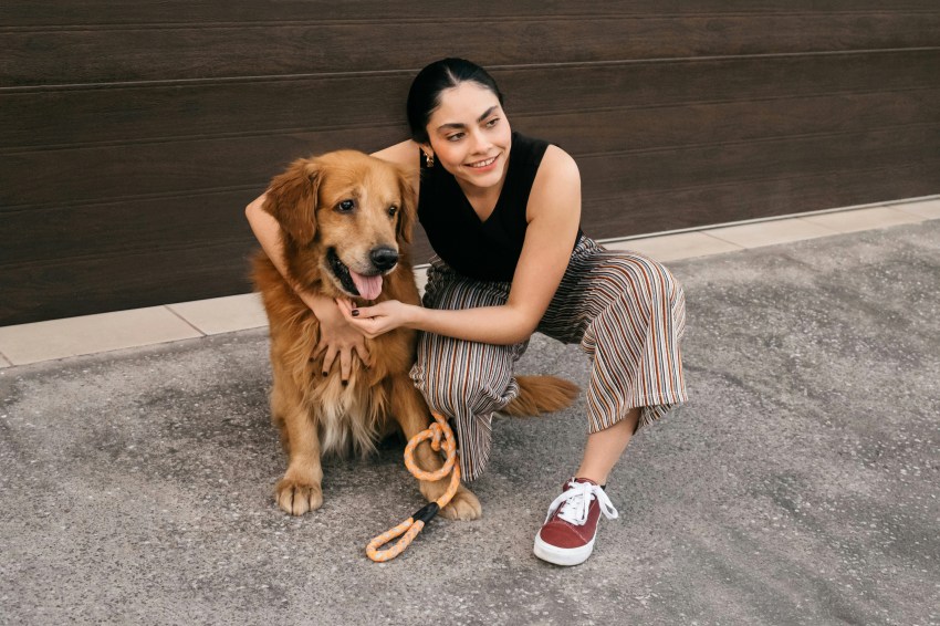 Why God Made Dogs
